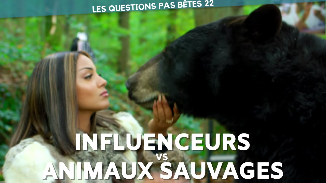 INFLUENCEURS VS ANIMAUX SAUVAGES : Le désastre et les solutions - LQPB 22