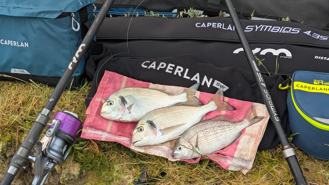 Sortie à la Dorade en Surfcasting..#sortiepeche #caperlan #sparidés #royales #foryou #peche #symbios