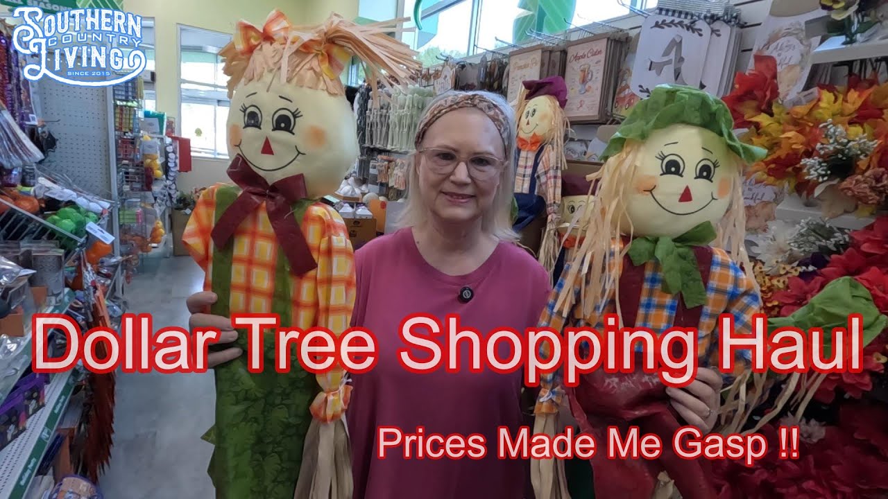Dollar Tree Shopping Haul  --  The Prices Are Up and Made Me Gasp !!