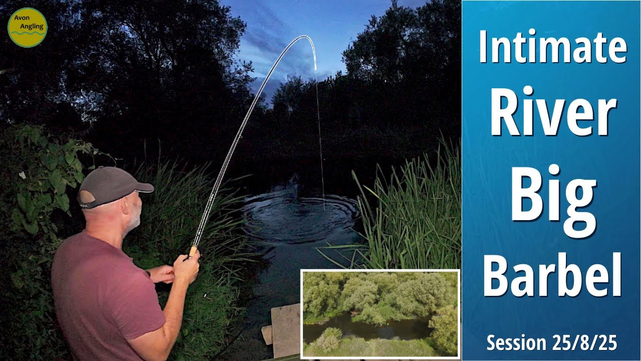 BIG BARBEL & Chasing Chub - EPIC Intimate River Fishing - A Special Catch - 25/8/25 (Video 597)
