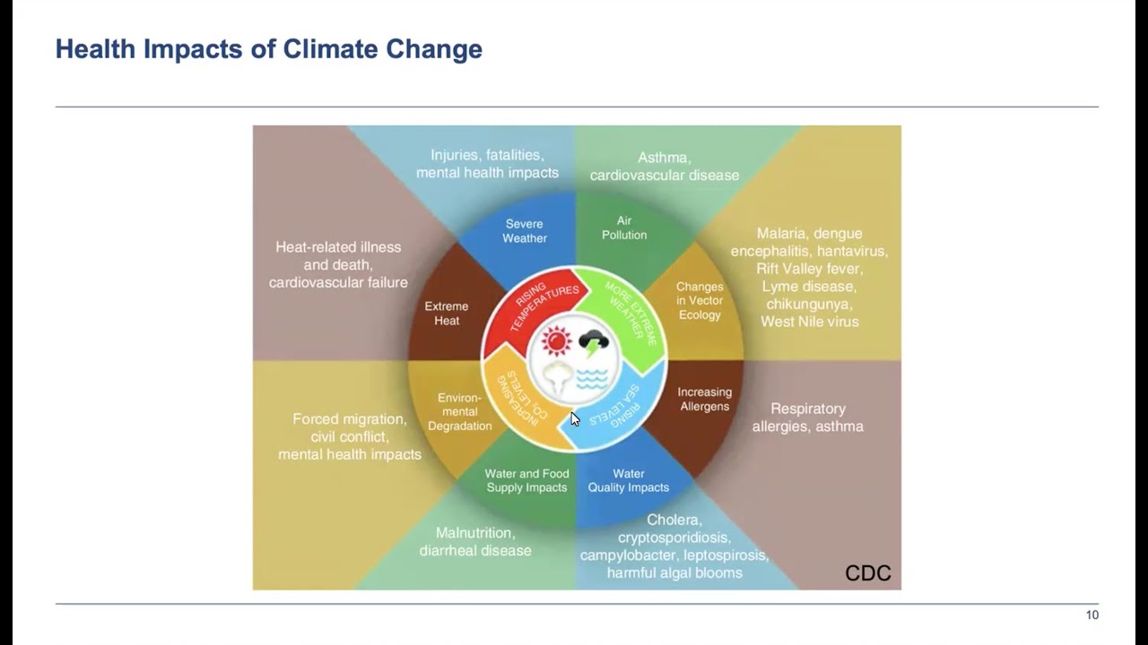 Climate Change, Health, and Disasters - What's the Connection?