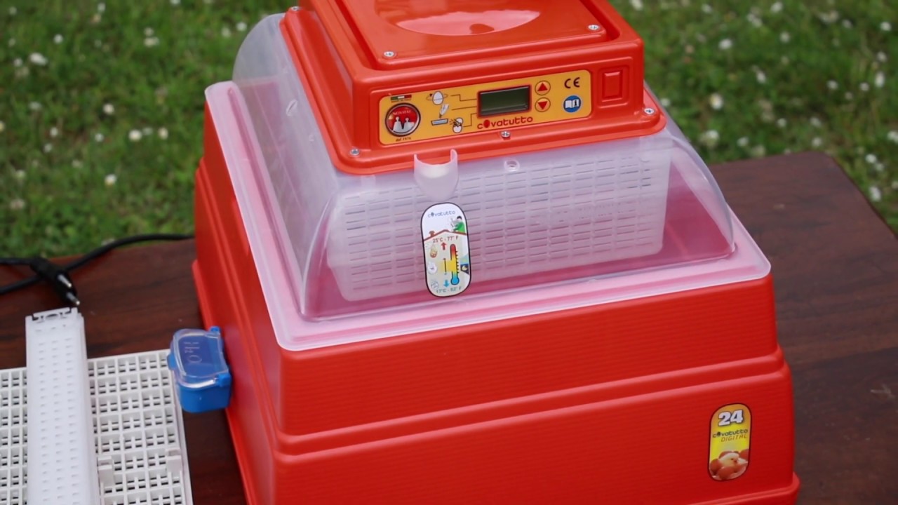 Unboxing Incubatrice Novital Covatutto 24 digitale automatica | My Farm Project