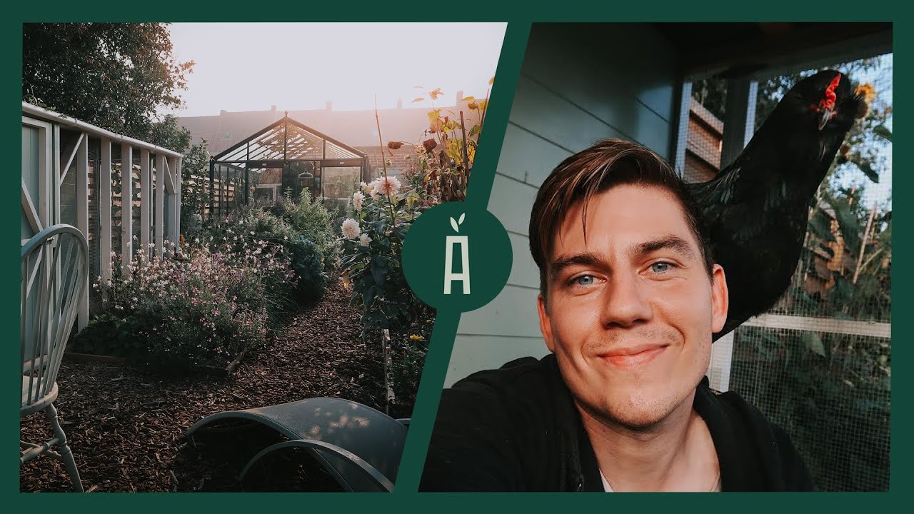 Burn-out & depressie: DE TUIN ALS THERAPIE I Angelo Dorny