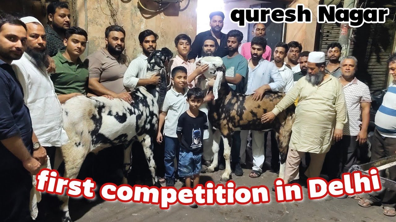 Delhi mein first time bakaron ka competition hua Alhamdulillah bahut achcha Raha Quresh Nagar