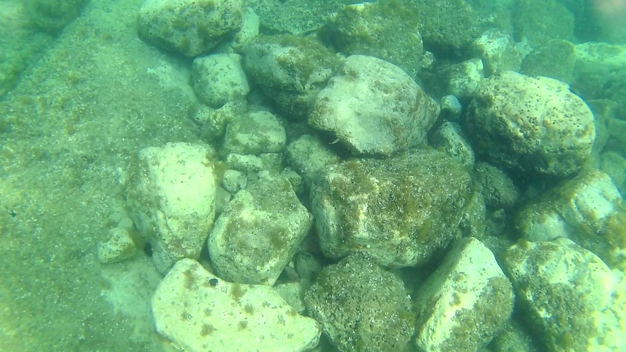 Rovinj snorkeling, Park Suma, Zlatni Rt