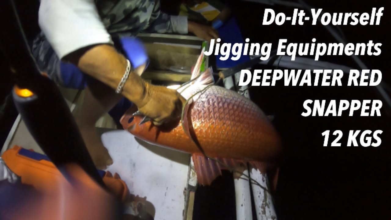 SAGISI &bull; 12 KILOS RED FISH &bull; JIGGINGBPH.