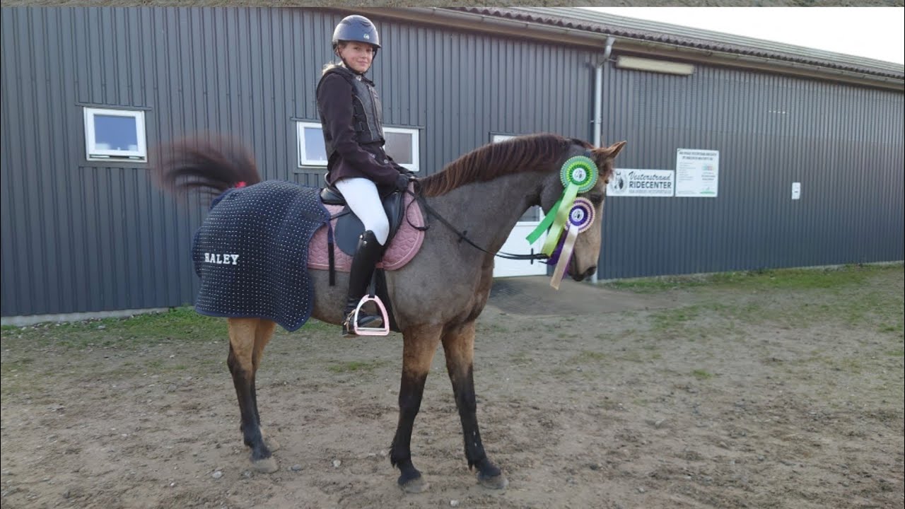 Stævne lørdag i Han Herred(HHH) #stævne #Celica #Haleyfrathy #jake #springstævne #equestrian #Lb