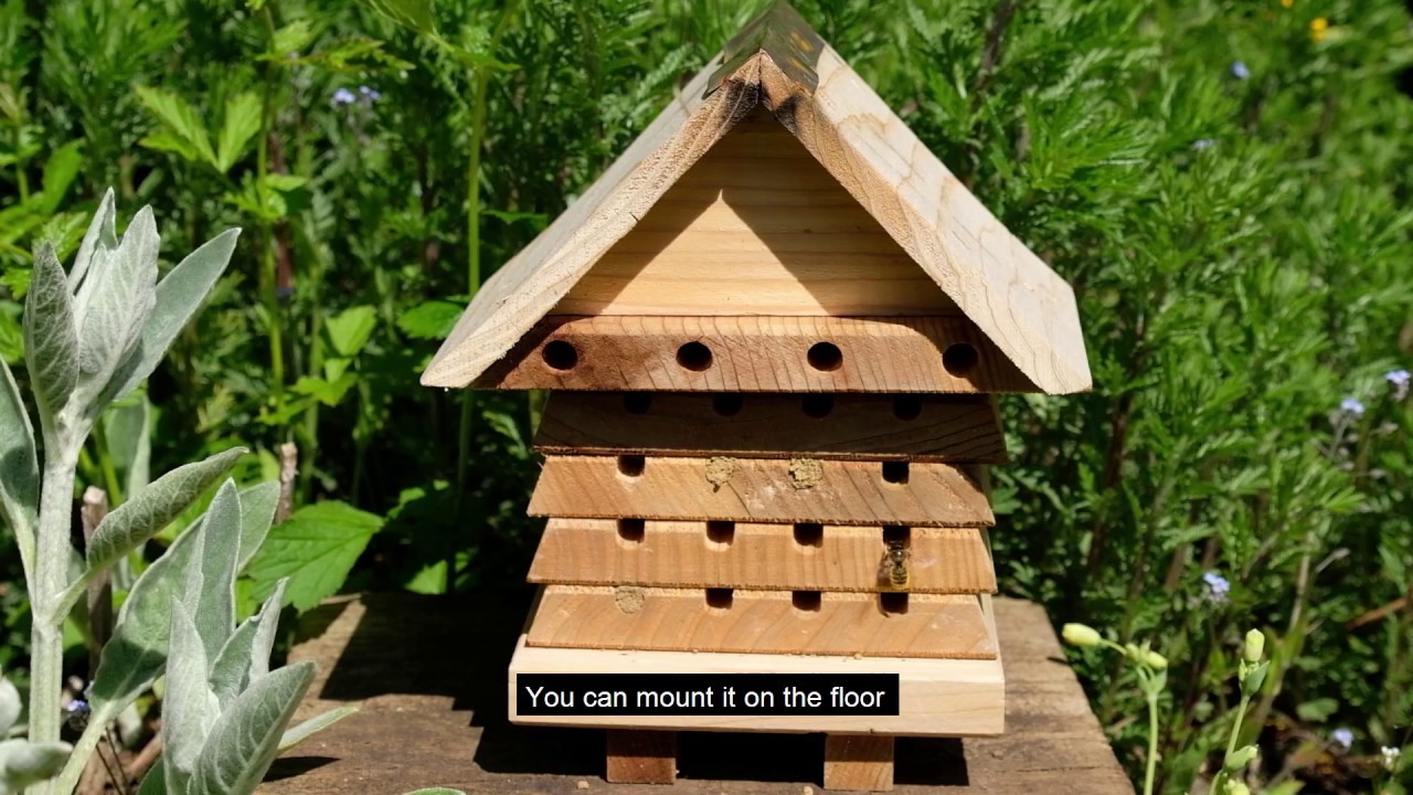 Interactive Solitary Bee Hive