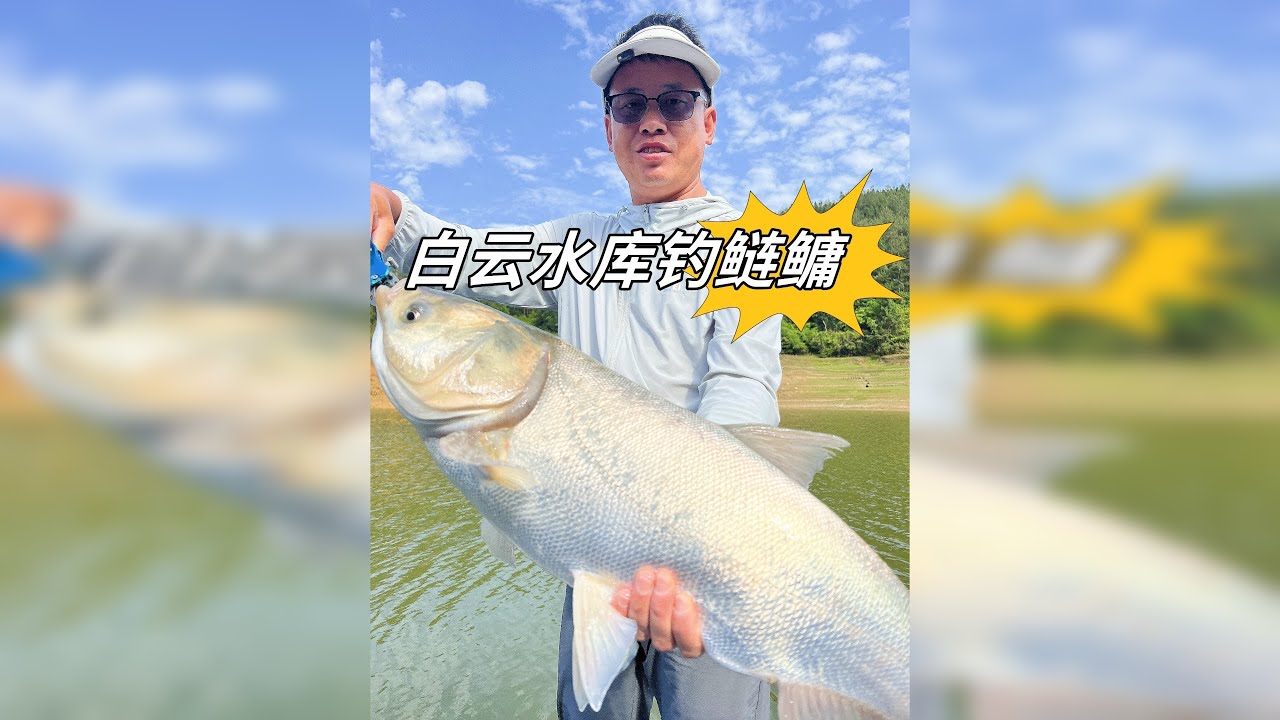 今天到这个水库钓鱼打工，结果半天就下班了
