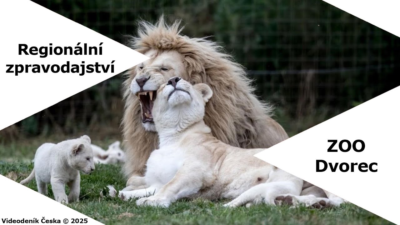ZOO Dvorec - region&aacute;ln&iacute; zpravodaj Jiř&iacute; Rada