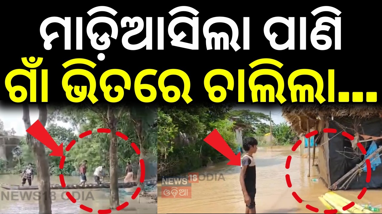 ମାଡ଼ିଆସିଲା ପାଣି ଗାଁରେ...Bhadrak Flood Crisis | Hundreds Trapped in Chandbali | Flood Update News