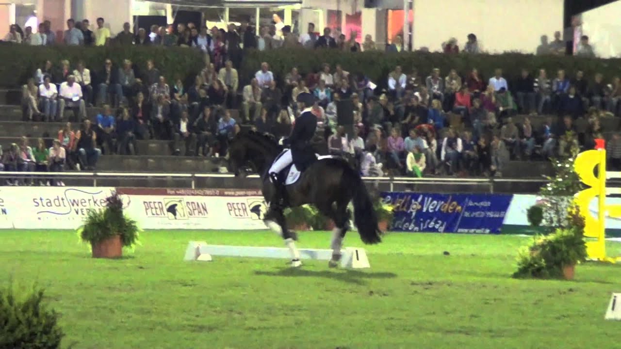 Kirsten Brouwer with IPS Tuschinski  EU Stallionshow Verden 2013