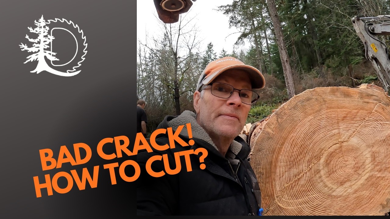 How I saw big logs.