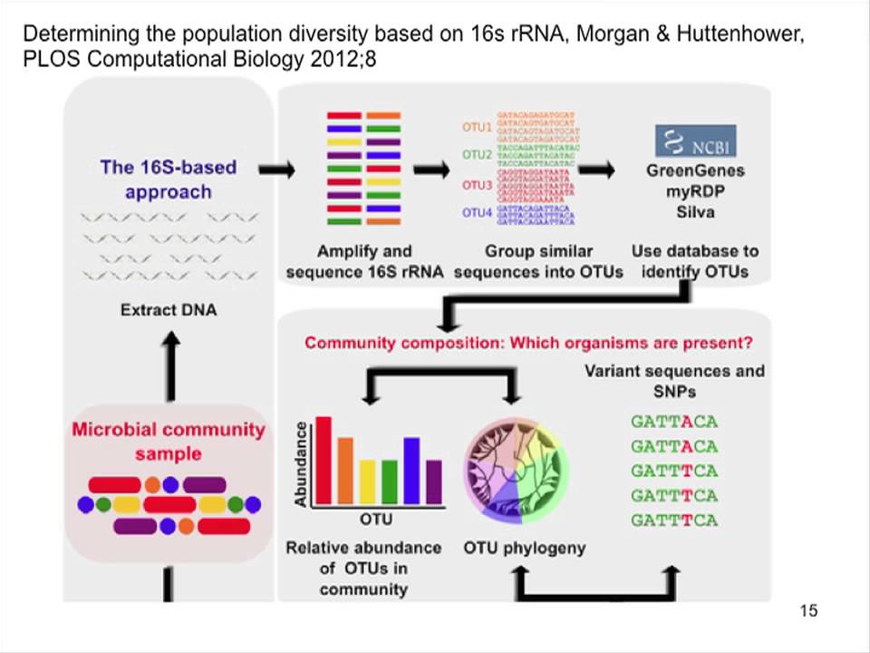 The Microbiome and the Human Microbiome Project