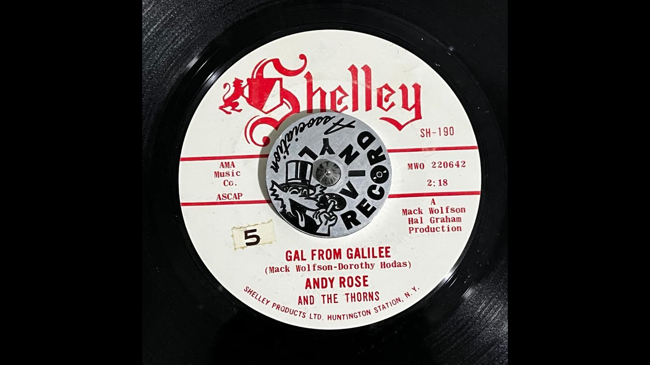 Andy Rose   Gal From Galilee