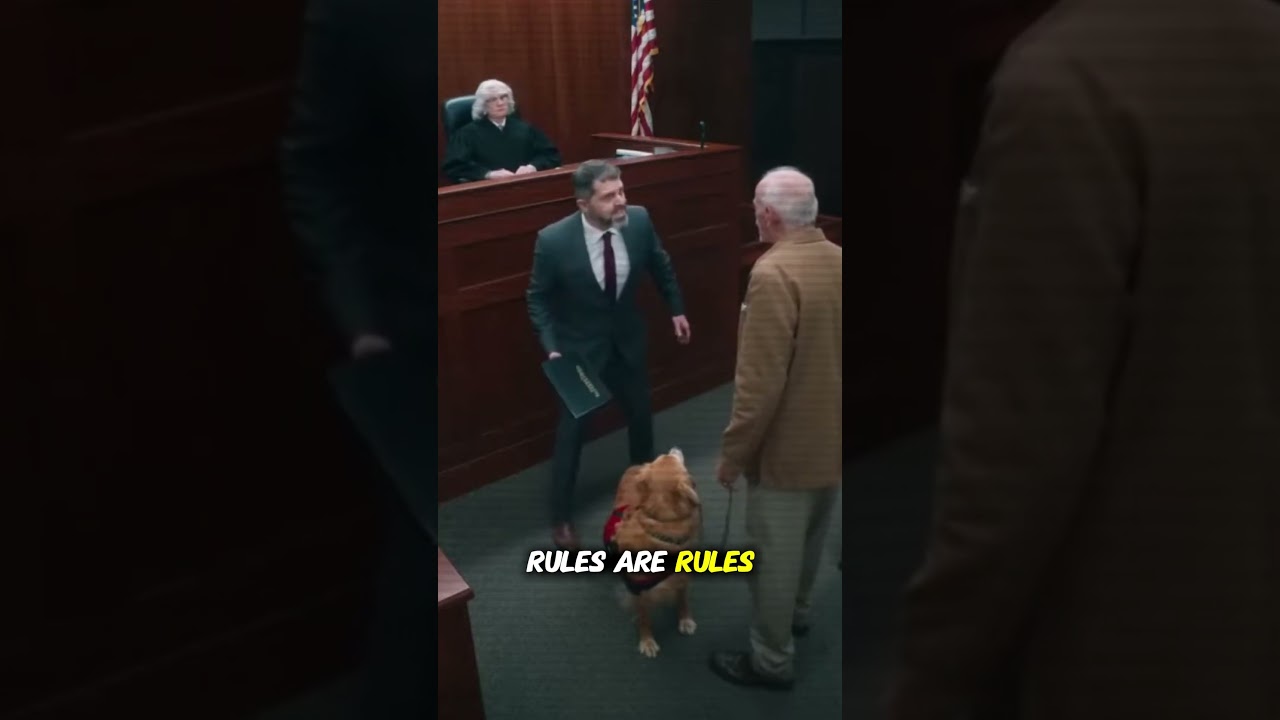 Judge Explodes as HOA Targets Veteran&rsquo;s Service Dog #courtroomdrama #shorts