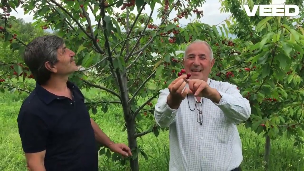 Al Dede Anlatısı Bağlarbaşı Köyü Pazar Tokat