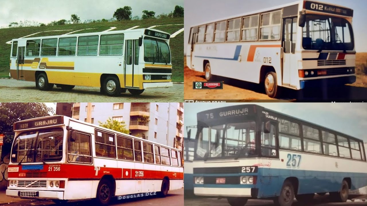 Canção Do Ônibus Caio Amélia. O Eterno Mestre Das Ruas 