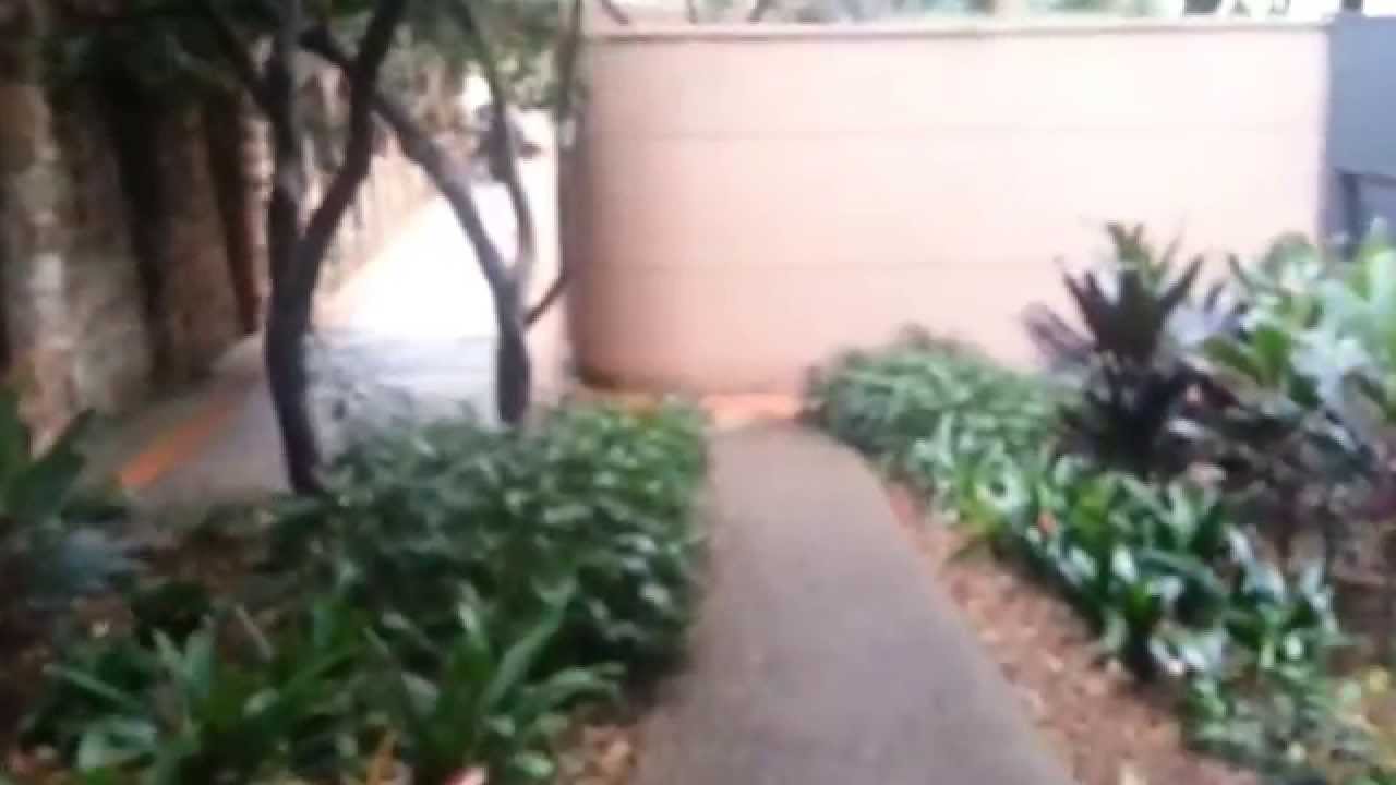 Sandra Walk