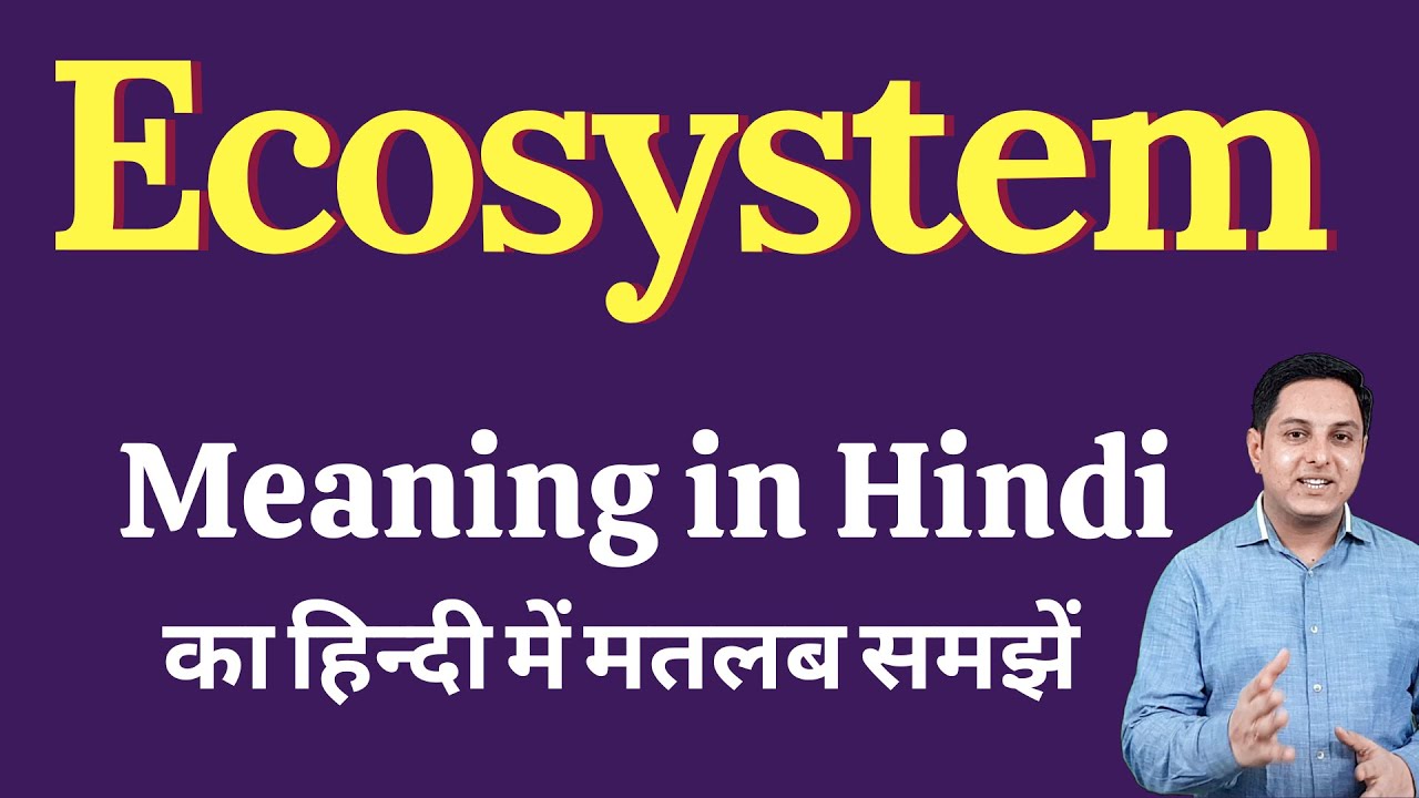 Ecosystem meaning in Hindi | Ecosystem ka kya matlab hota hai | Spoken English Class