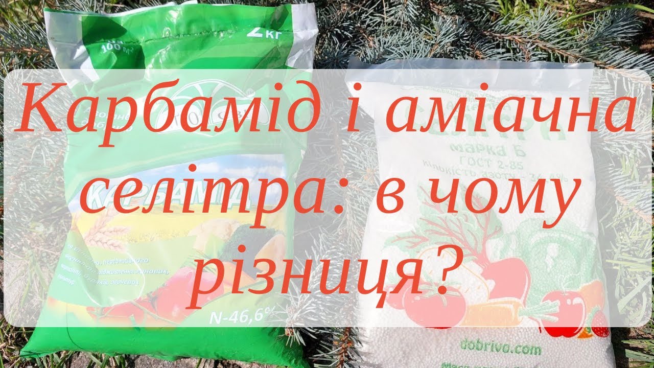 Сечовина (карбамід) і аміачна селітра: різниця і застосування.