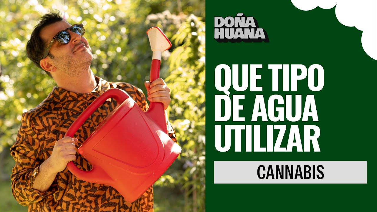 CANNABIS - &iquest;QUE TIPO DE AGUA UTILIZAR? - CULTIVO PRINCIPIANTES
