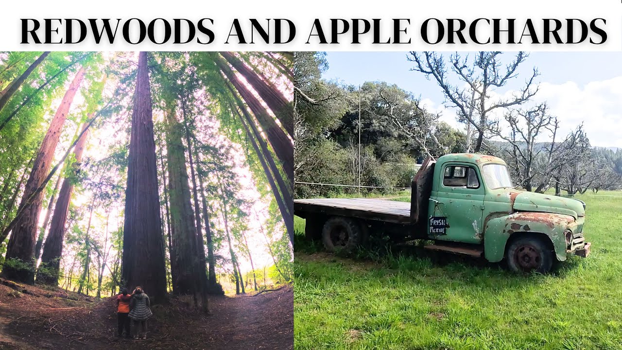 Hendy Woods State Park Camping and Exploring Anderson Valley