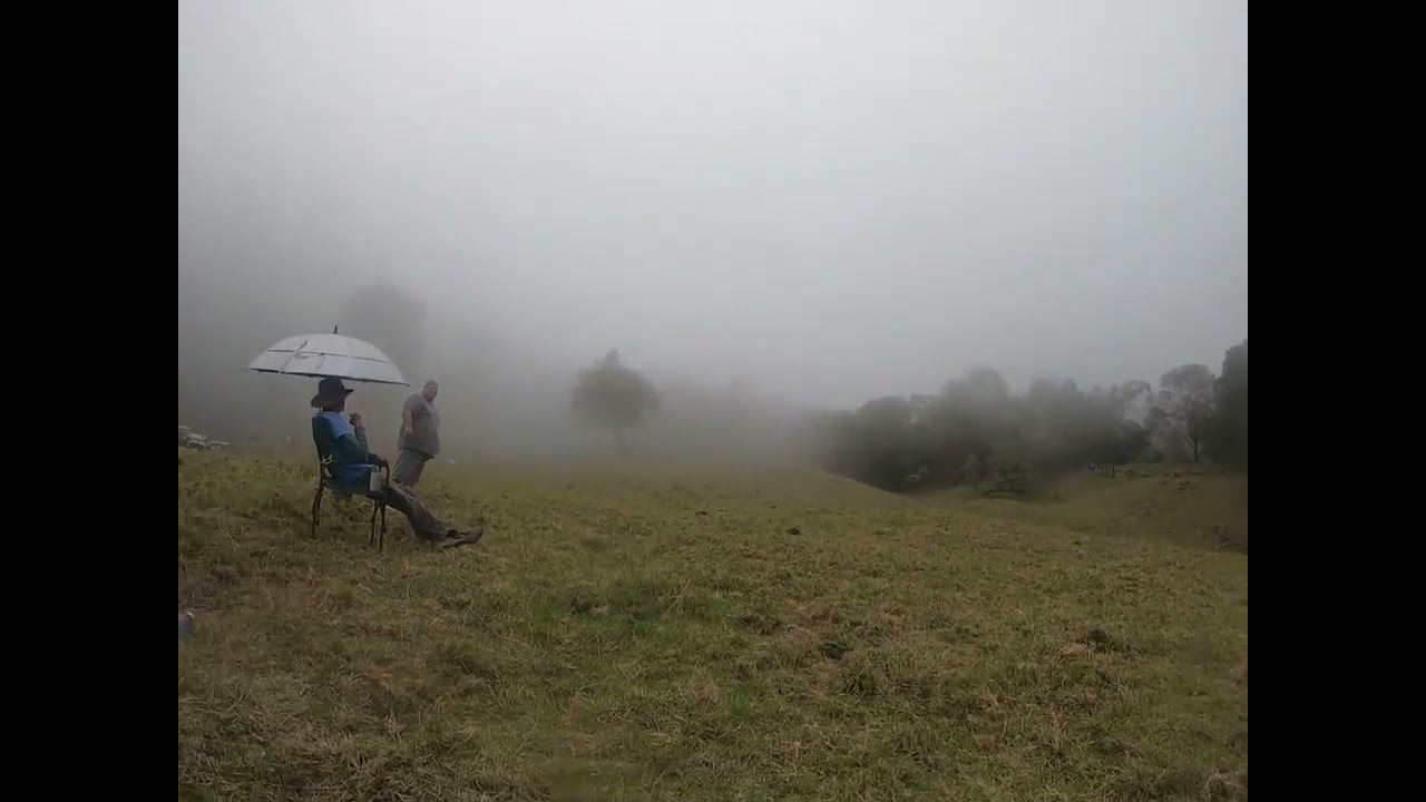 Maui open ace