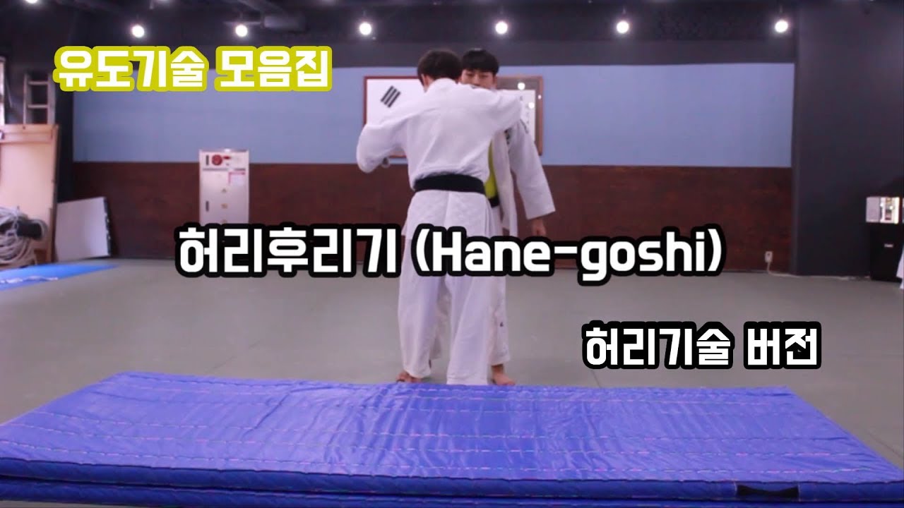 유도기술 메치기 허리기술 (Judo skill,waist skill, NAGE-WAZA  Koshi-waza)[흠이 HEUM]