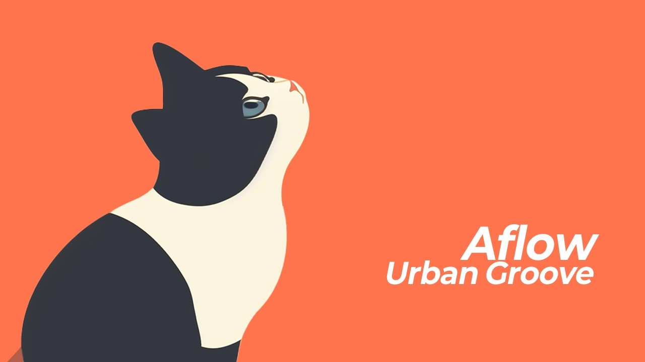 Funk Jazz Fusion Groove 🥁 | Orange Cat Groove Playlist