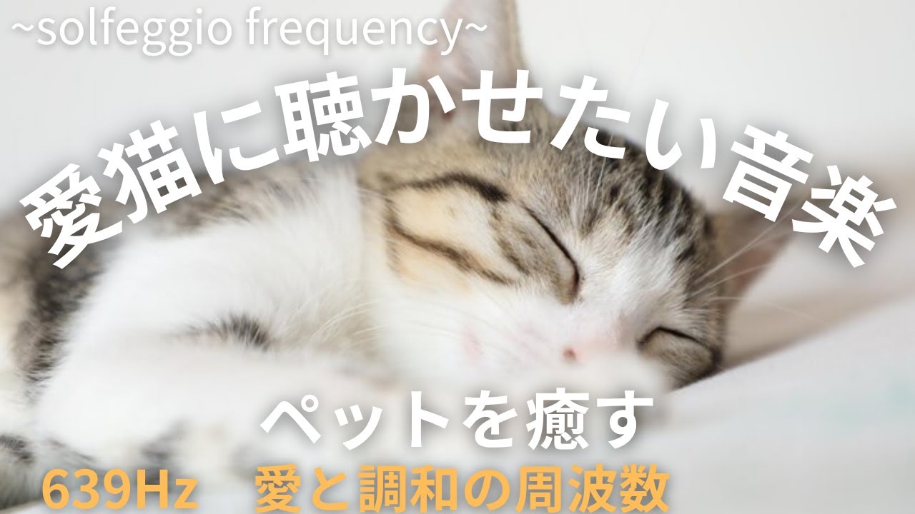 【愛猫に聴かせたい音楽】　639Hz　ペットに癒しを　心と体を癒し落ち着く周波数　ソルフェジオ周波数の魔法　リラックスできる音楽　自律神経を整え、心が落ち着く　ヒーリング　癒し　安心　睡眠　安らぎ