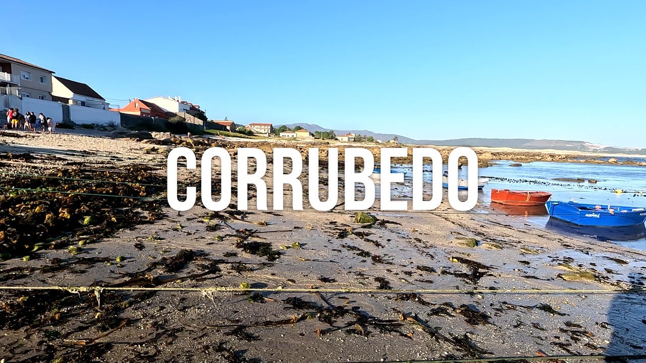 Spinning en Corrubedo - Jornada con lubinas y caballas