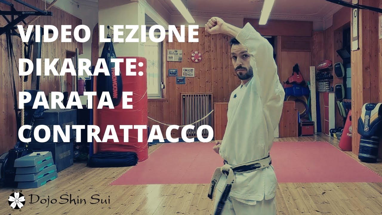 Video lezione di karate: parate e contrattacco