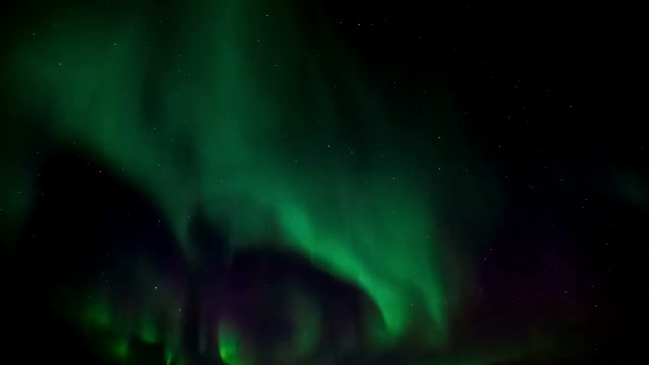 Aurora Jazz Cafe ✨ Smooth Jazz for Study & Relax