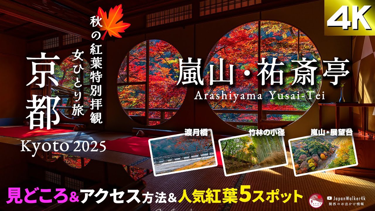 【4K】祝TV使用提供！裕斎亭🍁2025 🍁秋の特別拝観‼️見どころ・予約方法 アクセス🍁&周辺おすすめスポット#京都🍁 #嵐山 #竹林の小径 #嵐山公園 / 展望台 / #渡月橋 #女子ひとり旅