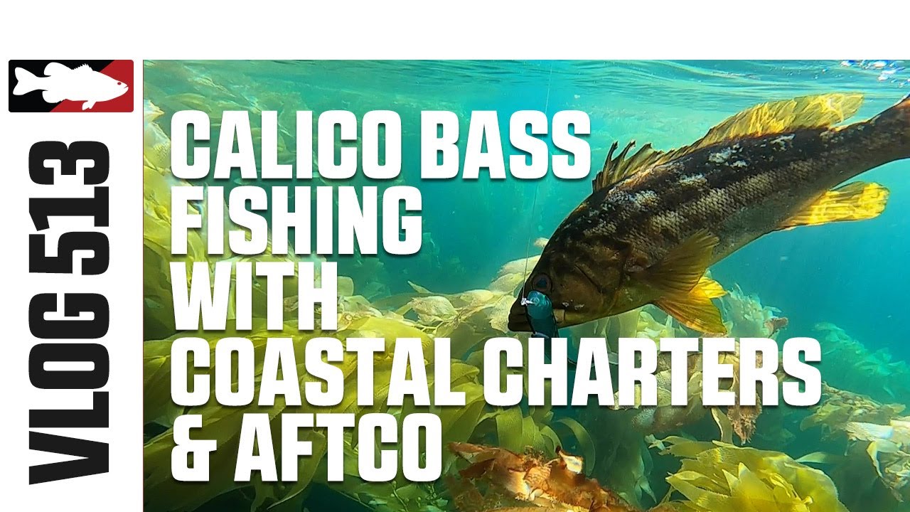 San Clemente   Calico Bass Fishing with Coastal Charters - Tackle Warehouse VLOG #513