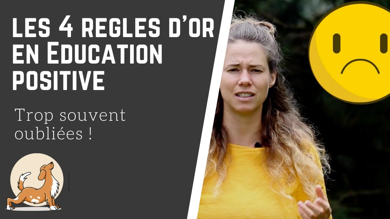 [BLOG & ETHO] Les 4 règles d'or en éducation canine positive