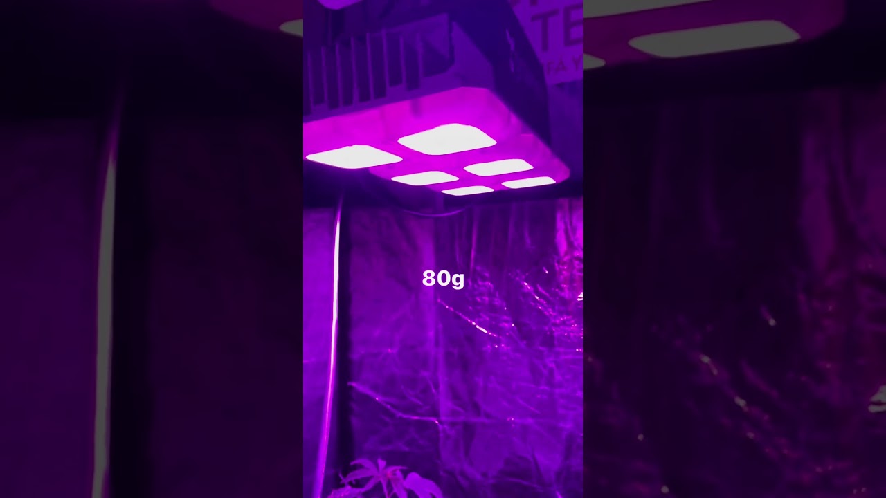 Cu&aacute;nto me dan mis l&aacute;mparas led Indoor