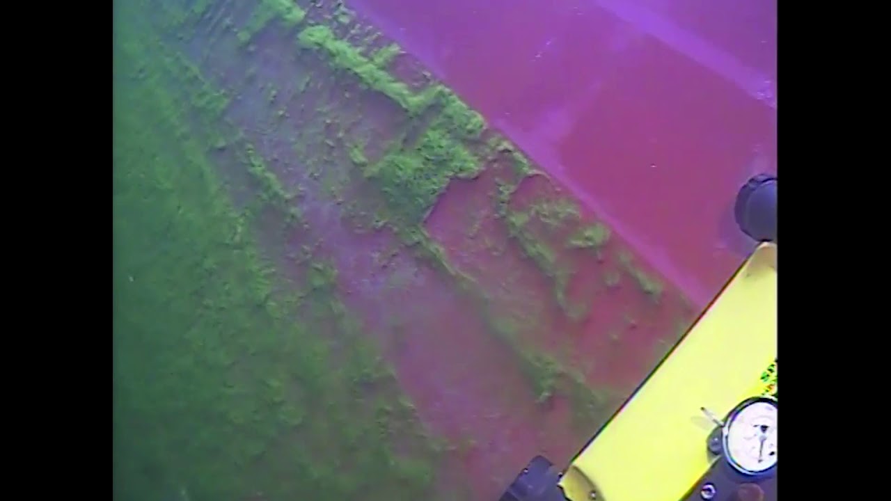 Ship's Hull Cleaning