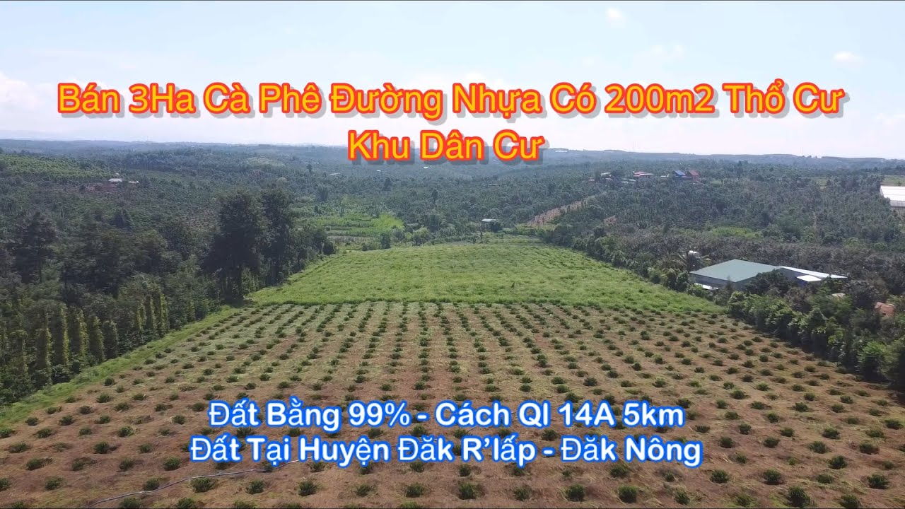 Bán Vườn Cà Phê Tơ Đẹp Đất Bằng Khu Dân Cư / Đất Mặt Nhựa Có Thổ Cư Sẳn Xây Nhà Vườn Cực Đẹp..