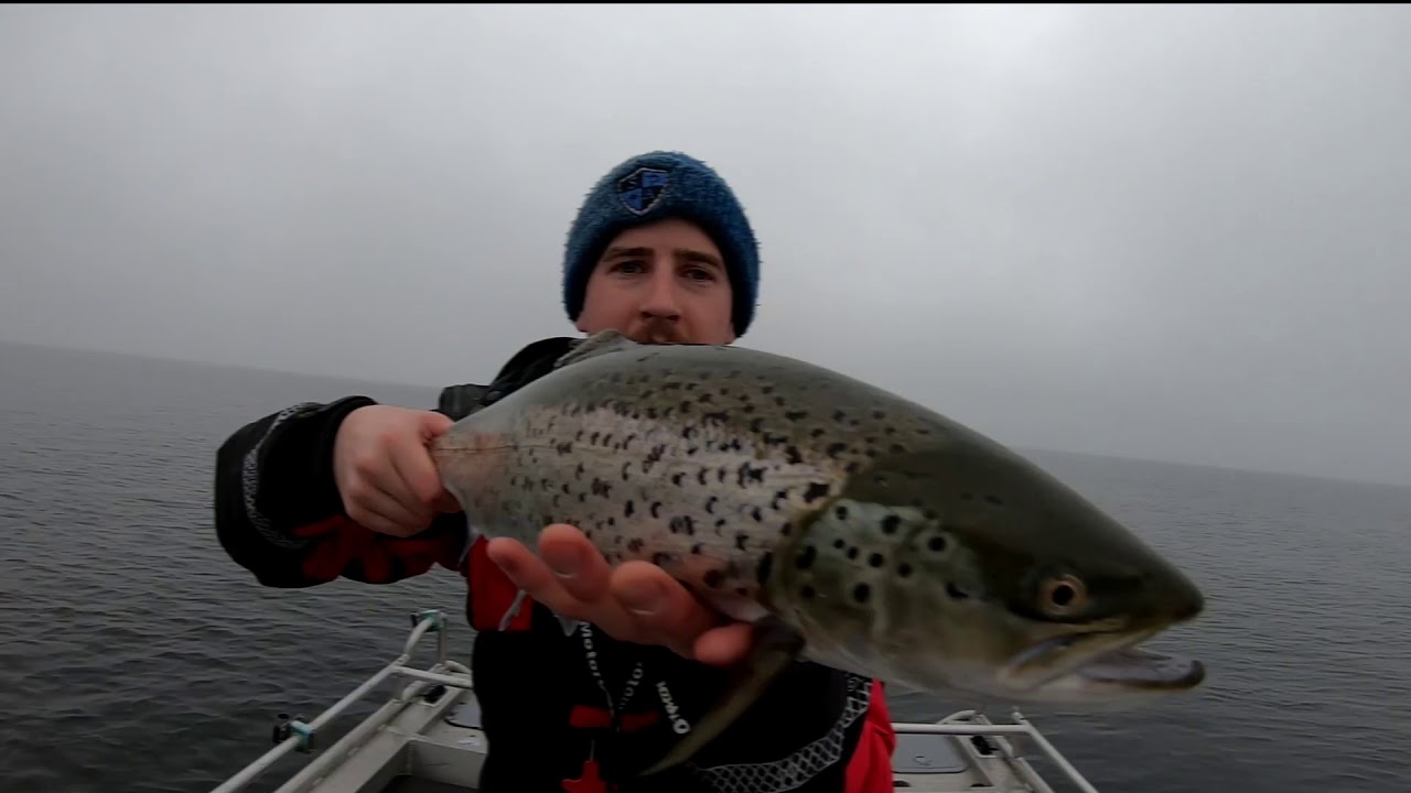Seatrout fishing  / Meritaimenen kalastusta