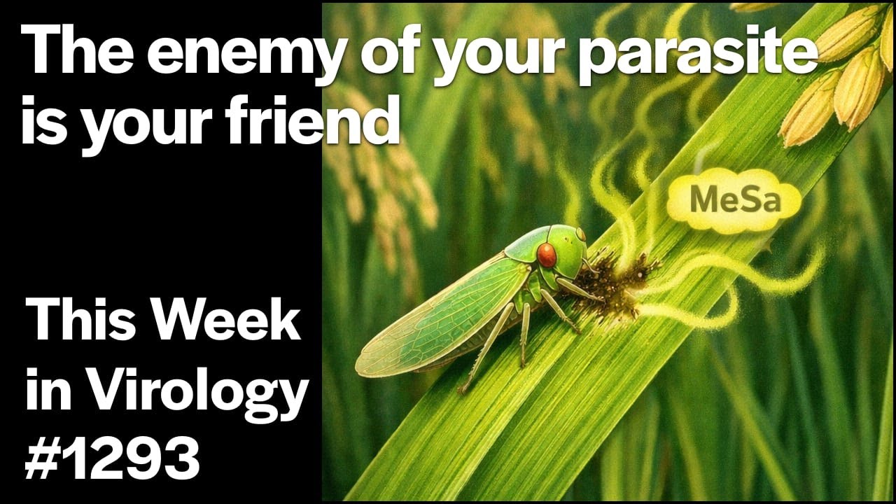 TWiV 1293: The enemy of your parasite is your friend