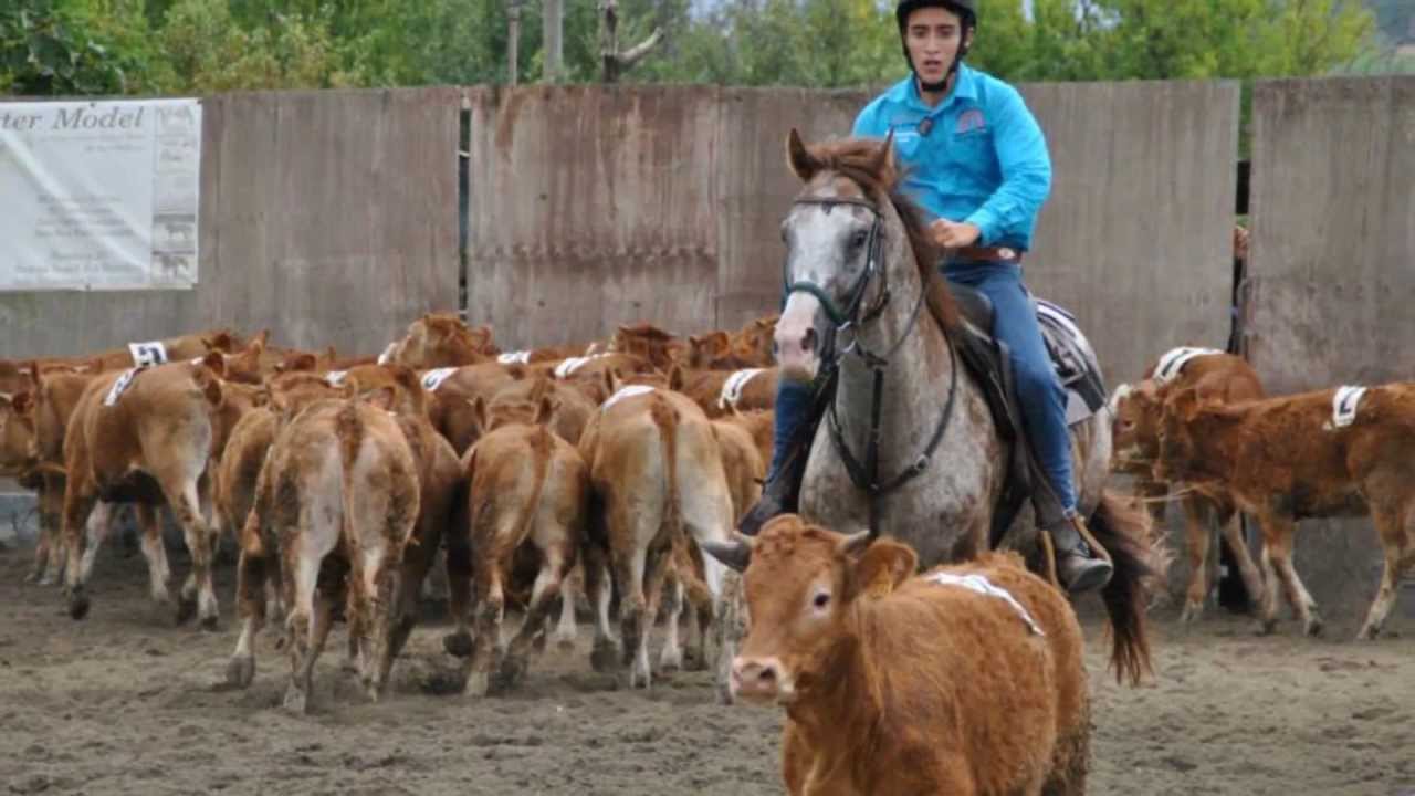 Gara Samisa 08 09 13