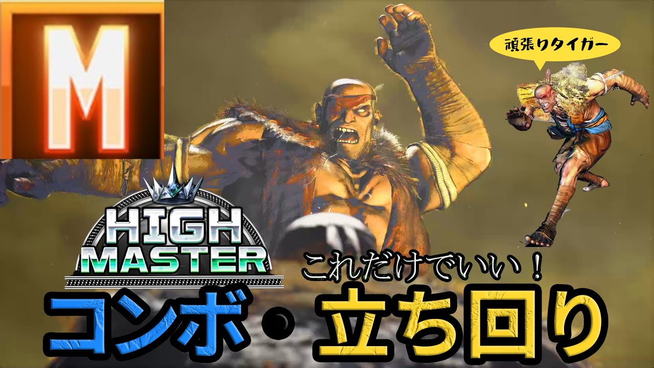 【ハイマスターまでこれでいい！】モダンサガットのコンボ、立ち回りについて【スト６、SF6】