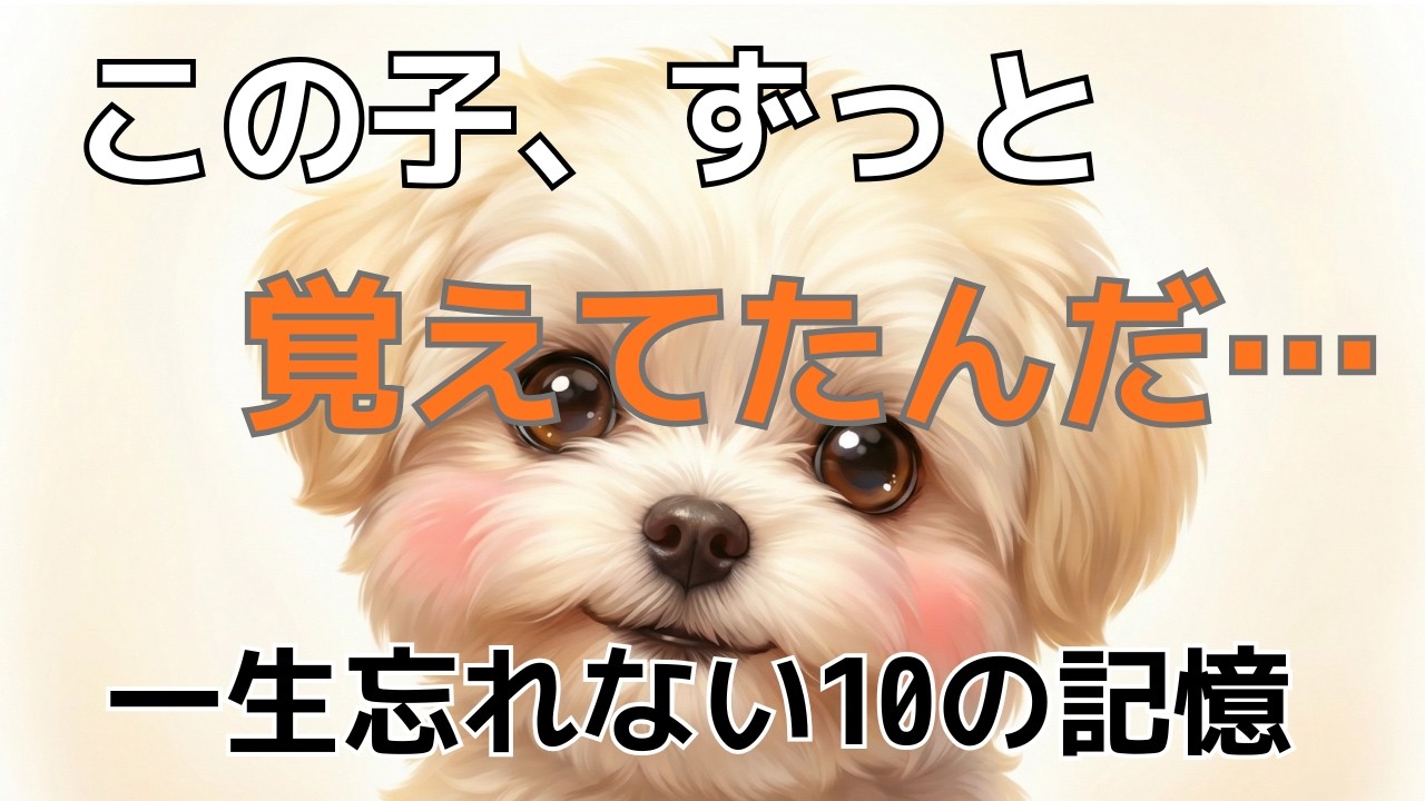 【保存版】犬が一生大切にする「あなたとの10の記憶」。これを知ればもっと愛おしくなる