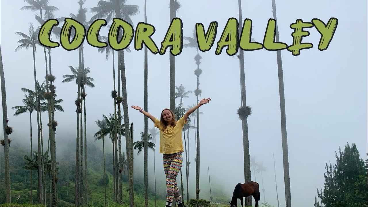 Cocora Valley, Colombia | Palm&rsquo;s Paradise [eng sub]