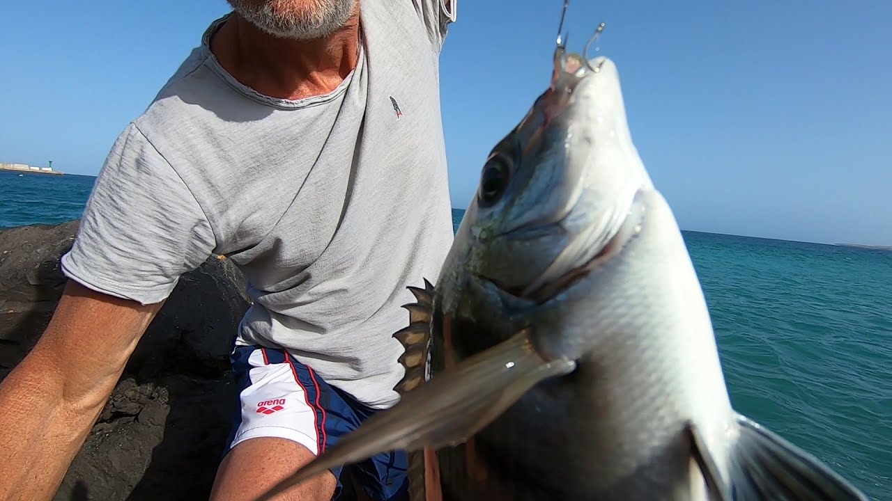 Pescare con la Canna Fissa dalla Scogliera [LA PESCA CON IL PANE]
