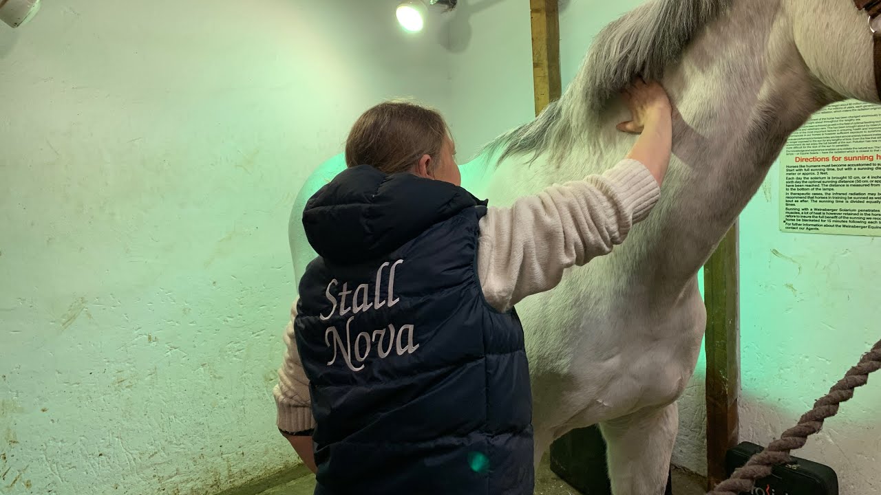 Slik masserer du hesten