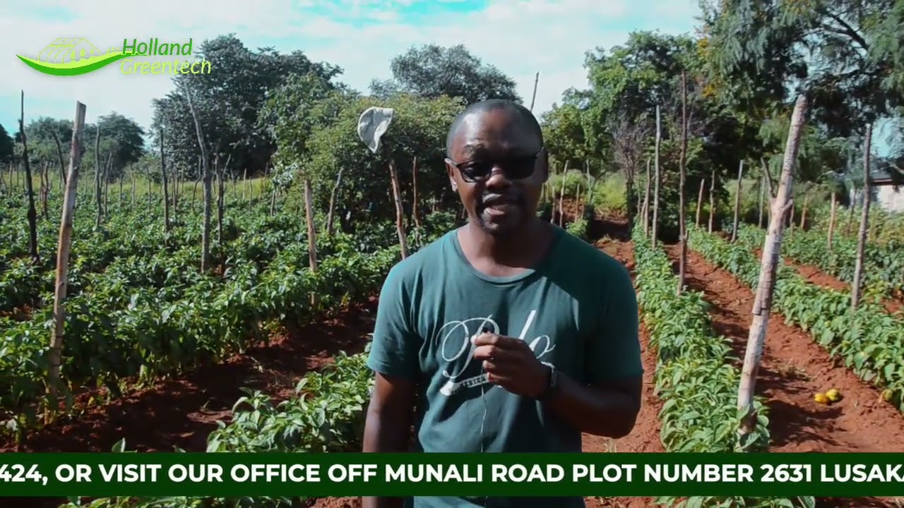 A testimonial from our happy client mr Michael Banda from lilayi Lusaka.