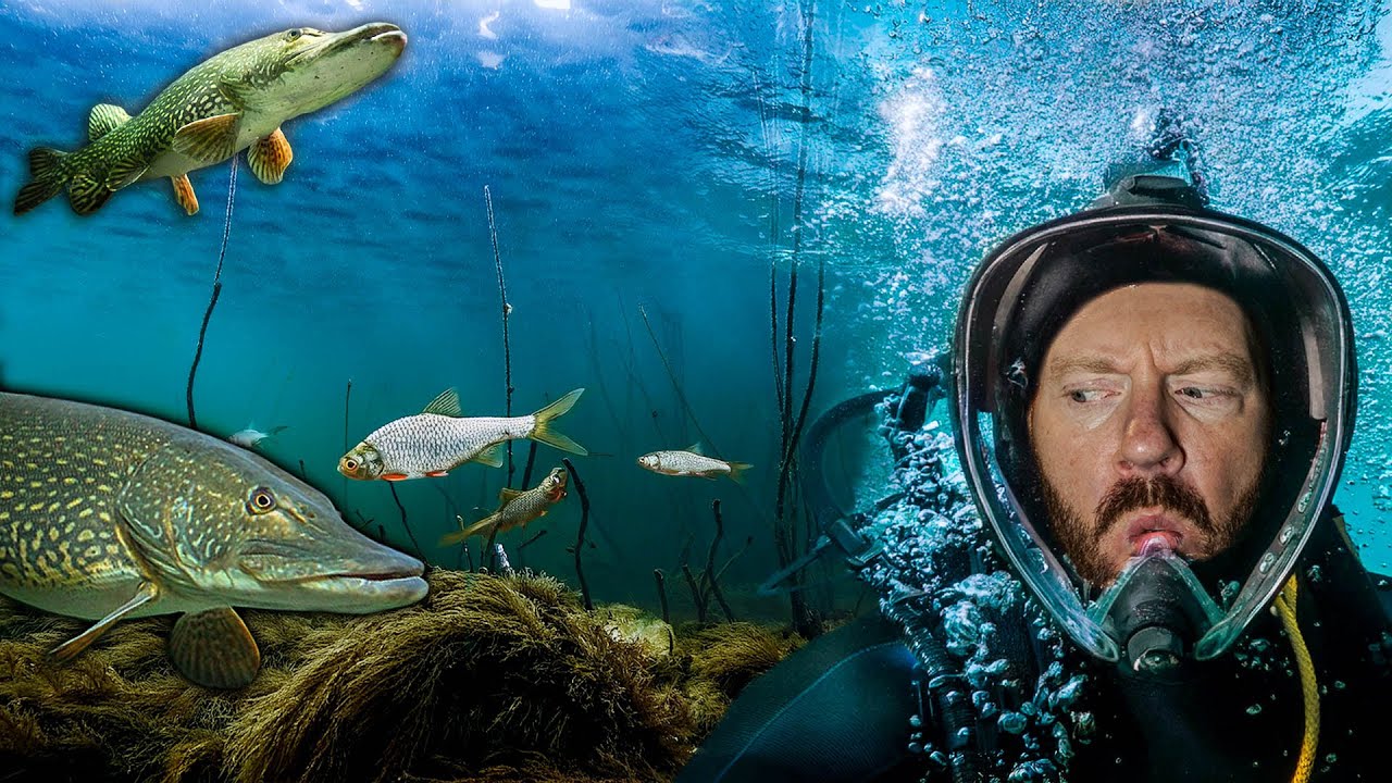 UNDERWATER Pike fishing